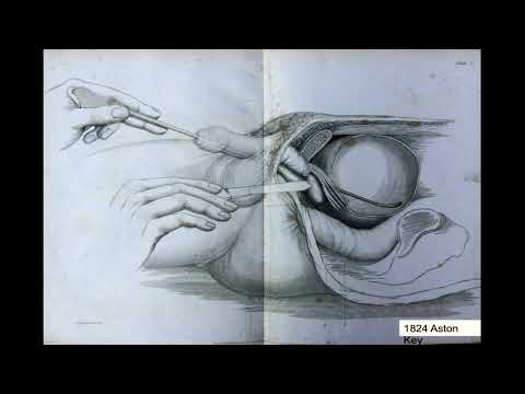 Mr Jonathan Goddard: The Urology Paradox: 1000 years of a very modern specialty