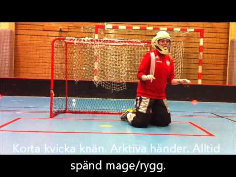 Målvaktsträning Partille Wizards