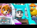 PAW Patrol Skye Motor Rescue Robots In Adventure Bay Shimmer And Shine