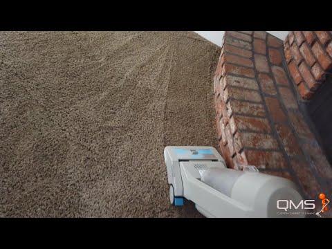 download lagu mp3 mp4 Best Carpet Cleaner For Polyester Carpet, download lagu Best Carpet Cleaner For Polyester Carpet gratis, unduh video klip Best Carpet Cleaner For Polyester Carpet