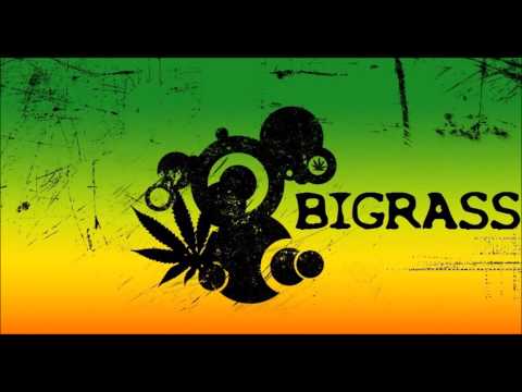 BiGrass - Wszystko czego potrzebuję