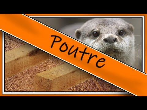 Esquive de la Poutre de StolKan
