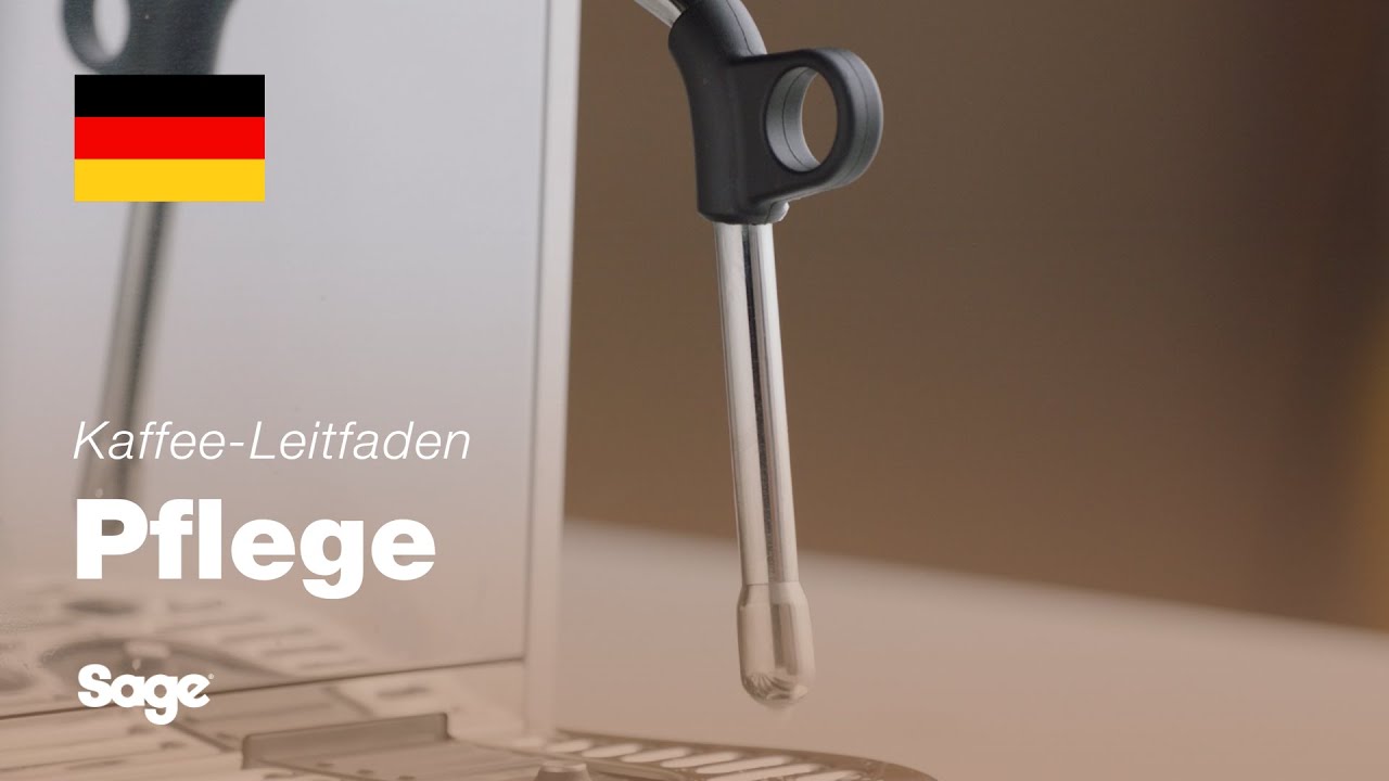 Reinigen und Durchspülen des Dampfstabs