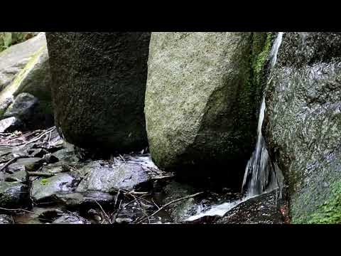 Red River by Denis Sanacore