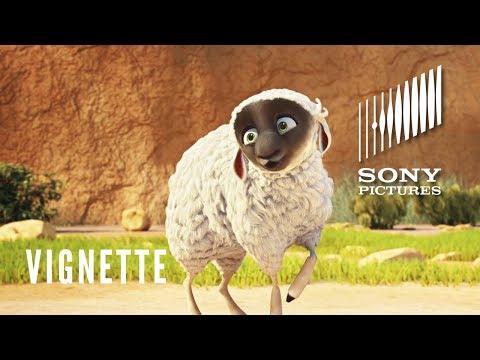 Vignette - Meet Ruth