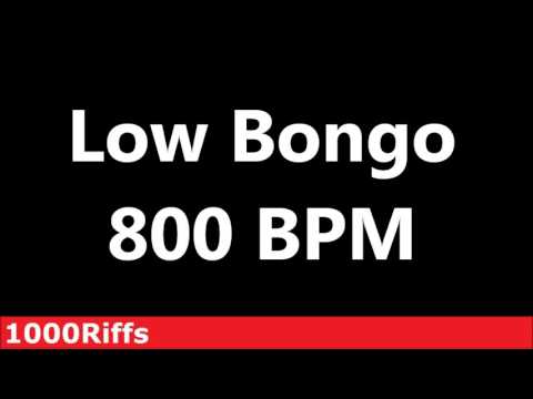 Low Bongo Metronome : 800 BPM ✓ Beats Per Minute