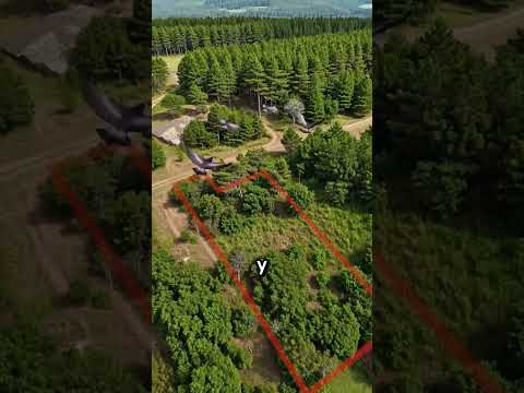 ¿Vale la pena invertir en un terreno en Villa La Angostura? 🌲