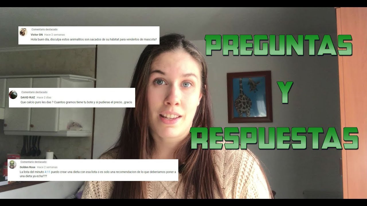 Preguntas y respuestas 1 - Petauros - Sugar glider