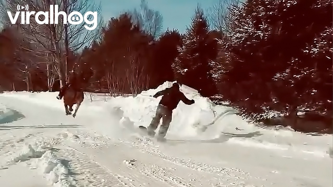 Snowboarder Pulled By Horse Practices for Skijoring Competition || ViralHog