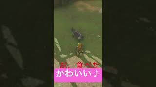 【#ゼルダの伝説ティアーズオブザキングダム 】馬宿のわんちゃんに癒される動画ショート編