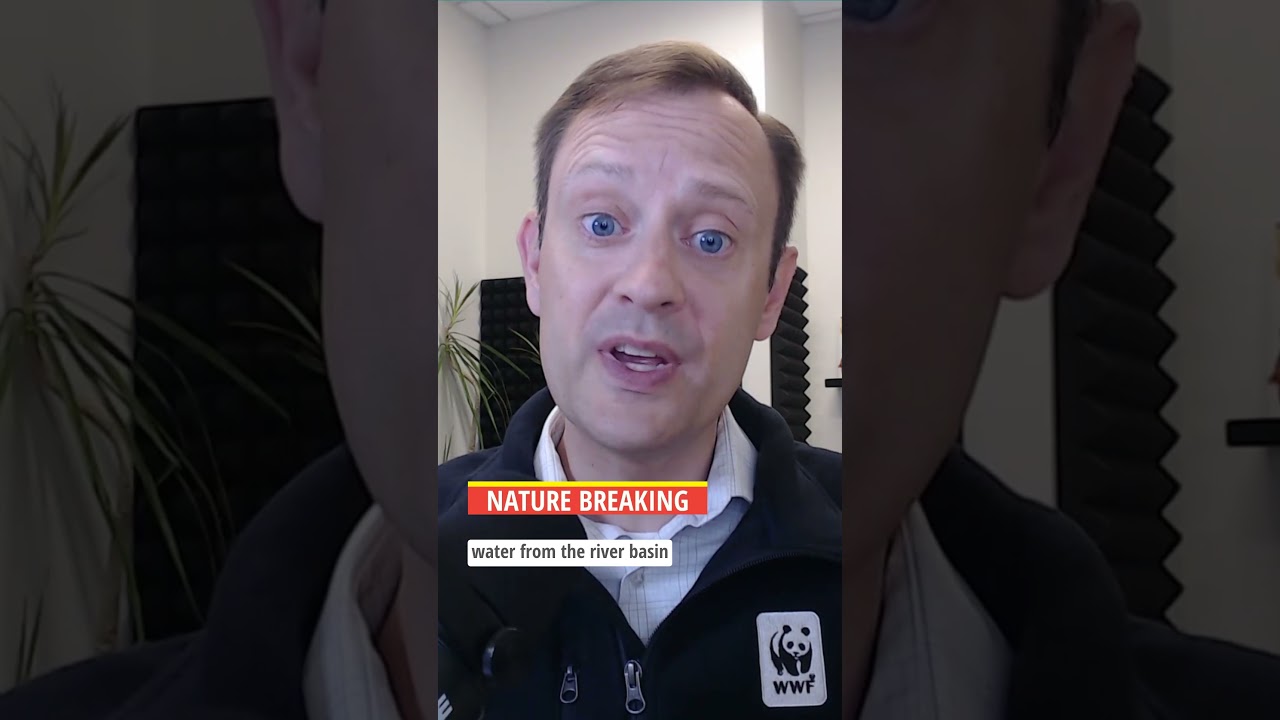 Nature Breaking #podcast clip: Where did the water go?