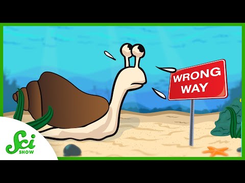 A Story of Wrong-Way Migration, Caused By Climate Change