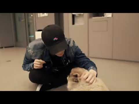 Yixing plays with puppy - 101020 X Log Red