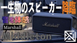 【Marshall】最高のポータブルスピーカー。キャンプでもレジャーでも家でもどこでも最高音質を。一生使えるおすすめアイテム！マーシャル、ミドルトン