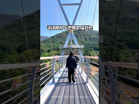 [2025새영천알림이단