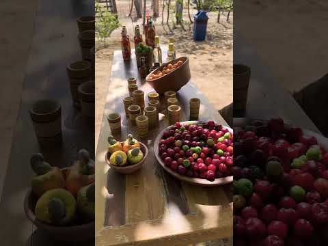 Quixaba na Rota do Bioma da Caatinga 🌵 #nordeste #turismo #cultura