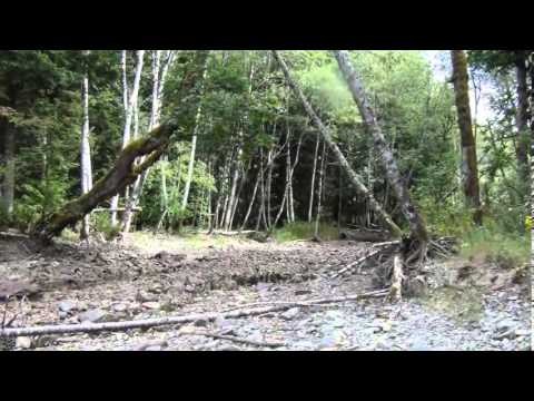 Tafseer: Whoever Fears Allah He Will Make A Way Out For Him And Provide