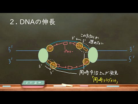 ピリミジンについて詳しく解説