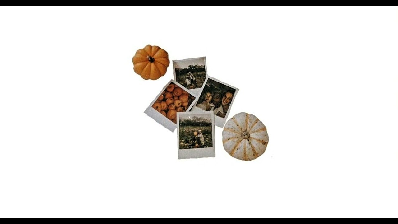 ✶⋆.˚ autumn vibes playlist🍂