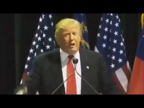 E90 335i vs Ferrari 488