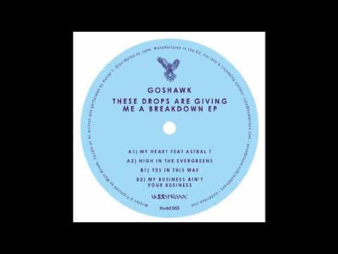 PREMIERE: Goshawk - My Heart feat. Astral T [Hudd Traxx]