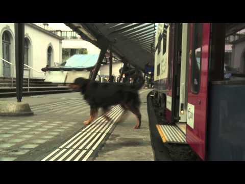 Ausbau Bahnhof Stadelhofen