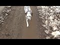 Die Ruhe Nach Dem Jahrhundert Schnee Sturm UHiK 90