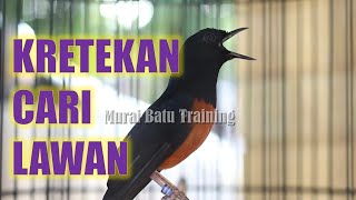 Download lagu Pancingan Murai Batu MALAM HARI 1 MENIT MURAI BATU APAPUN jadi RESPON NYAUT GACOR ✅ mp3
