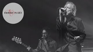 Robert Plant and the Sensational Space Shifters | 'Spoonful' | Live 2013