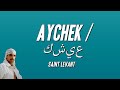 Saint Levant - AYCHEK / عيشك (Paroles)