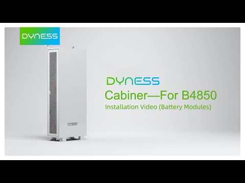 Dyness B4850 — инструкция по установке