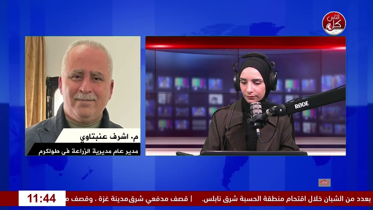 موسم الزيتون بين الاستعدادات وتحديات الاستيطان.. ماذا اعدت زراعة طولكرم؟