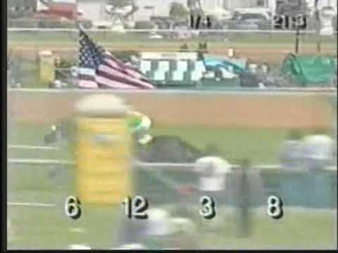 Churchill Downs Turf Sprint - Churchill Downs - May 5, 1995 - Bold n Flashy