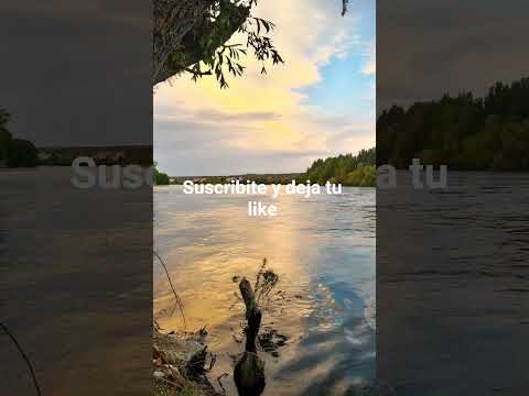 Villa Regina Rio Negro