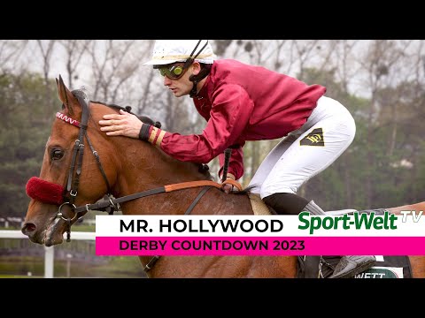 Derby Countdown 2023 - Mr Hollywood