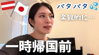 【一時帰国前】ウィーン来て1年!夫飯作り置きしながら思うことあれこれ