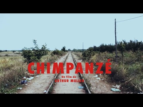 Odezenne - Chimpanzé - Clip Documentaire Officiel