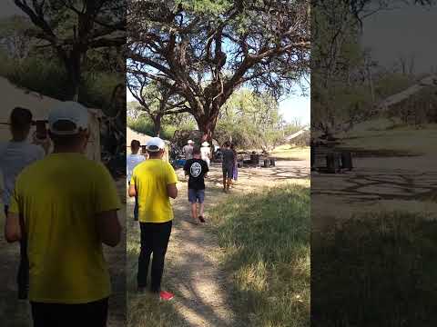 Elephant enters our campsite for Lunch, Khwai, Botswana 20230530 140823 Nellie at Magotho Camp