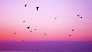 Post Rock Music | Hammock - Will You Ever Love Yourself