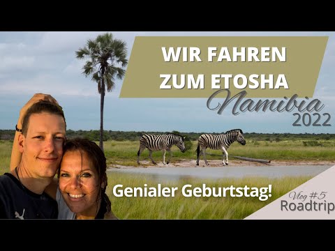 Unvergesslicher Geburtstag in NAMIBIA & spontane PLANÄNDERUNG I Namibia Vlog #5
