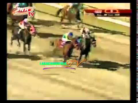 LA RINCONADA 8 CARRERA DOMINGO '7 DE DICIEMBRE DEL 2014