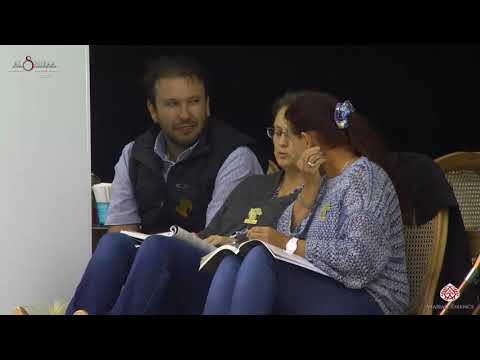 N 18 D SIREEN   Al Shiraa International Arabian Horse Show 2020