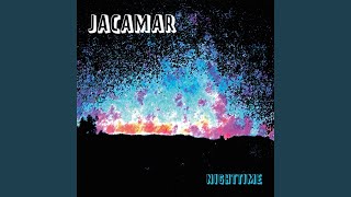 Jacamar - Nighttime video