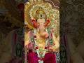 Lalbaugcha Raja 2025 First Look Shorts