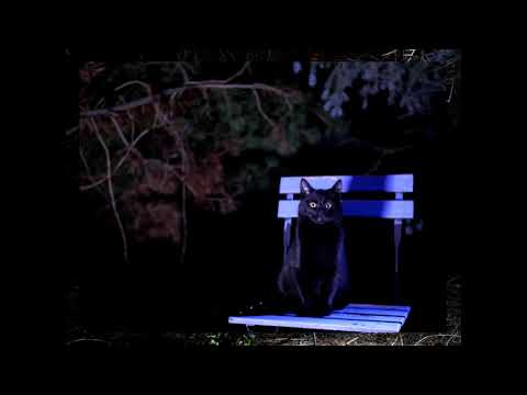 FRESZSZ - Mantra feat. Goust, Maxim (prod. Drosey)