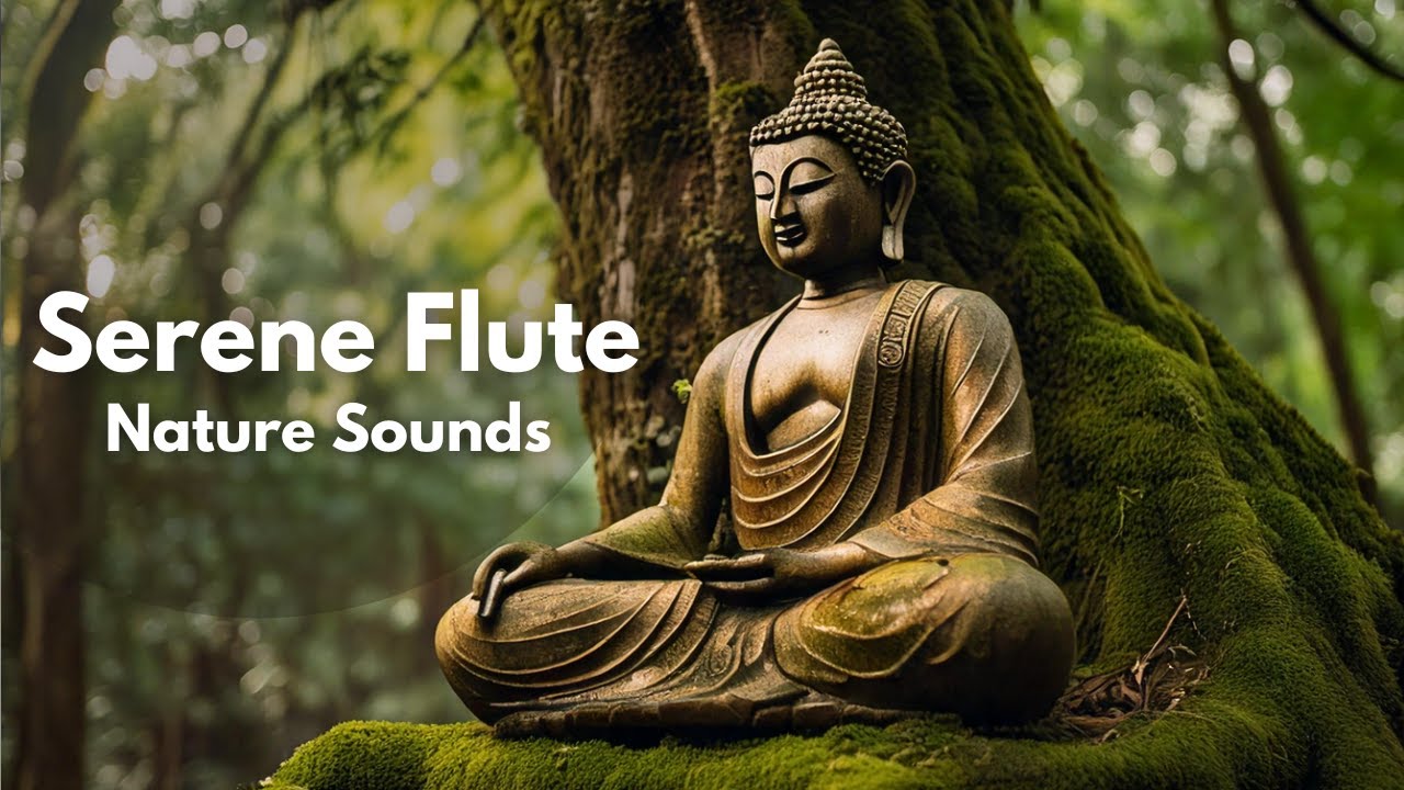 Buddha Serenity | Serene Flute And Nature Sounds