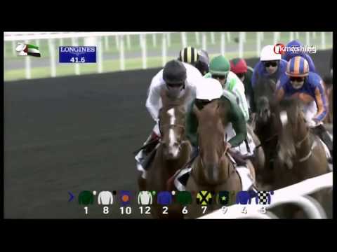 2014 UAE Derby G2 - Toast of New York (紐約祝福) - J.Spencer