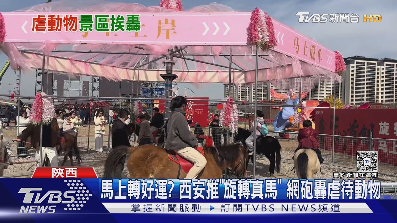 影音／陝西「旋轉真馬」遭轟虐待！5分鐘收130元　景區急喊卡