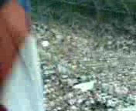 Coppa UEFA 2007-2008: Hajduk Spalato-Samp