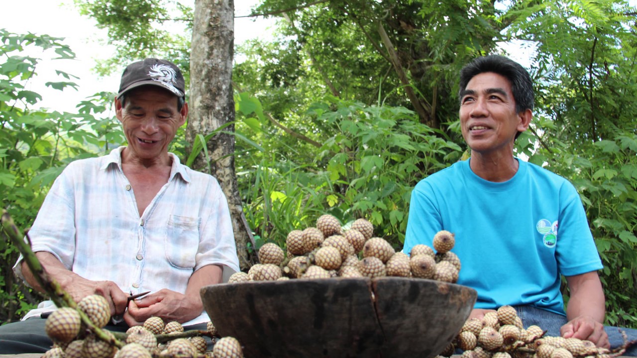 Community Based Forest Management Approach